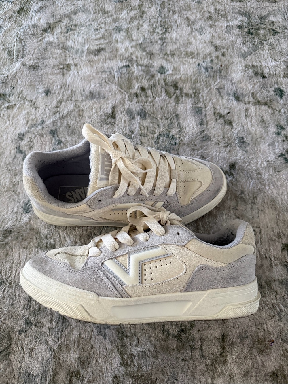 Vans Hylane Suede Shoes